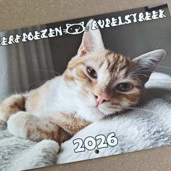 Jaarkalender 2026